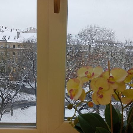 Apartment On Historical Center Of Lviv Exterior photo