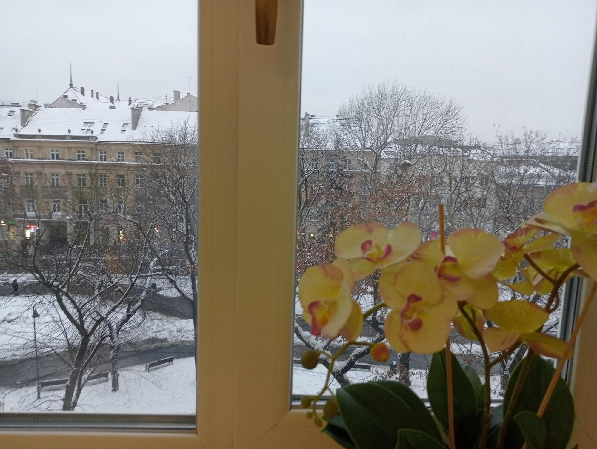 Apartment On Historical Center Of Lviv Exterior photo